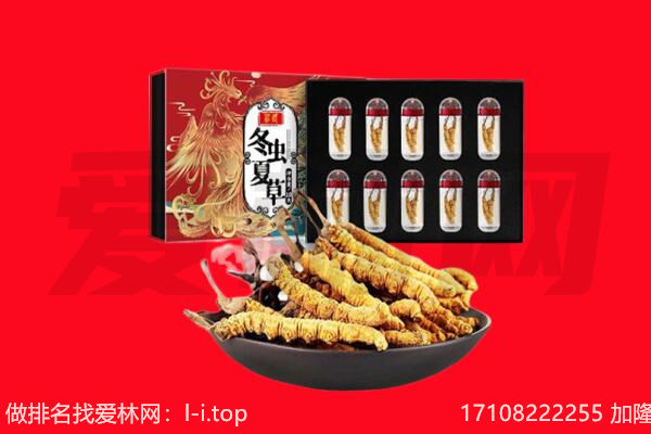 红河州泸西回收虫草.jpg